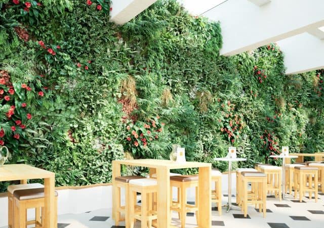 The Top Three Ways to Bring In Biophilic Design