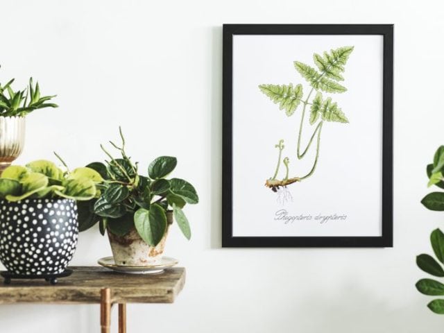 Five Ways to Integrate Wellness into Your Home