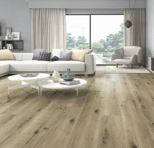 The Reminiscent Collection: Unbelievably Resilient and Remarkably Affordable