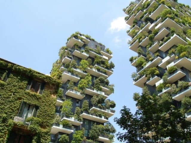 Going Greener: Saving the Environment in Your Environment