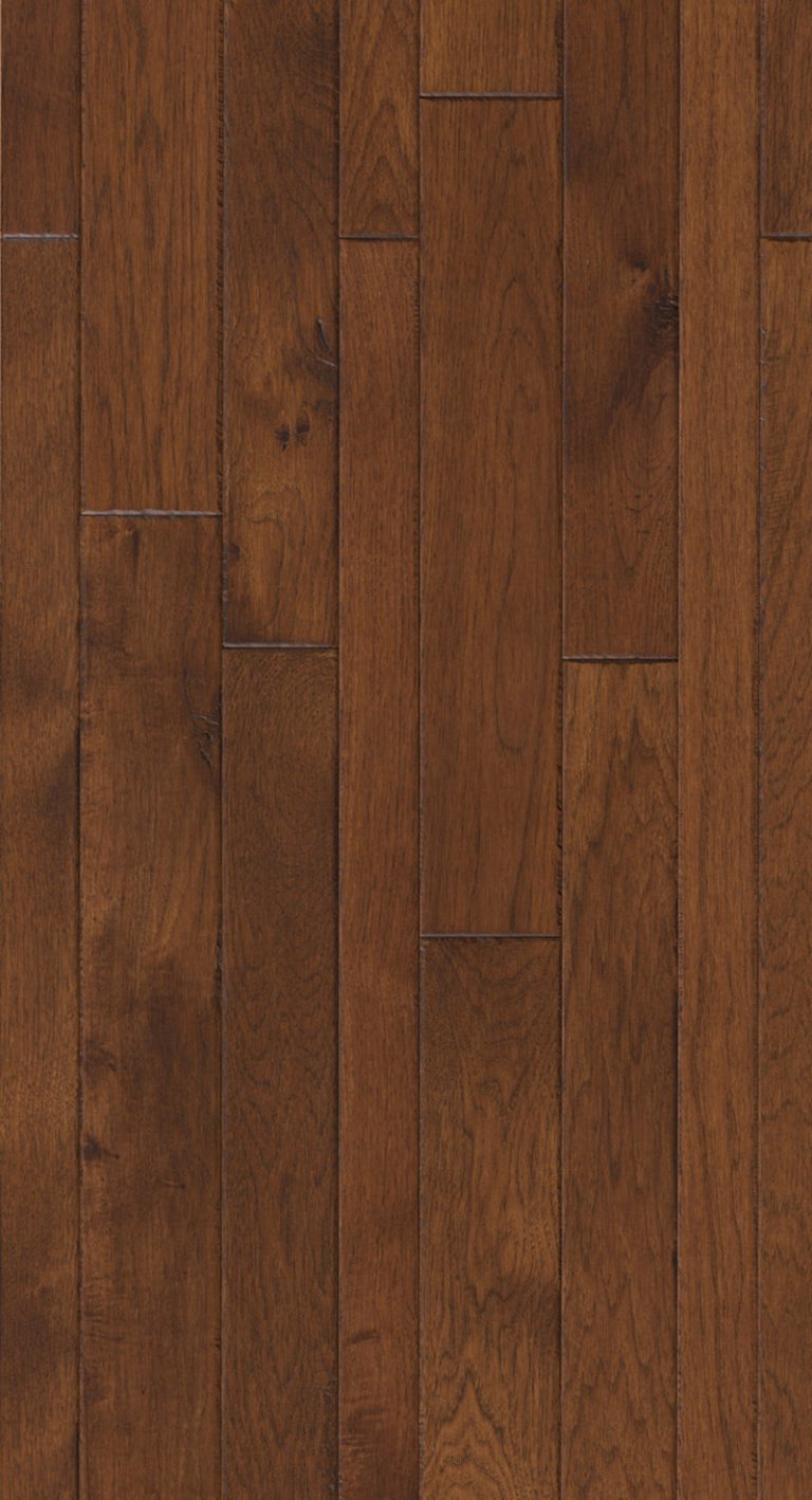 Constellation-Lyra-Feature