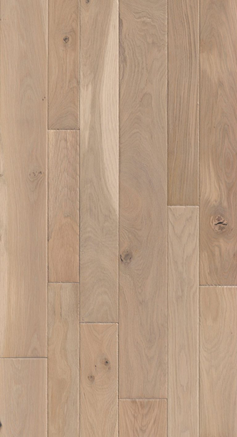 Constellation-Dorado-Feature