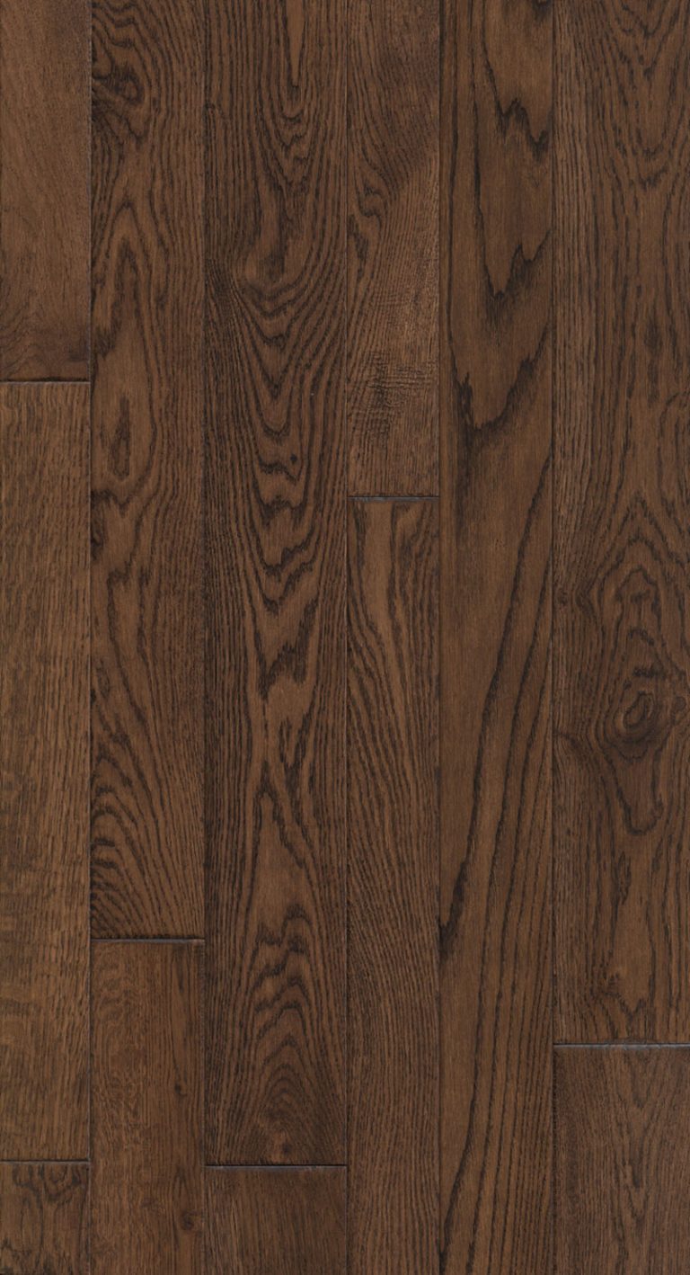 Constellation-Orion-Feature