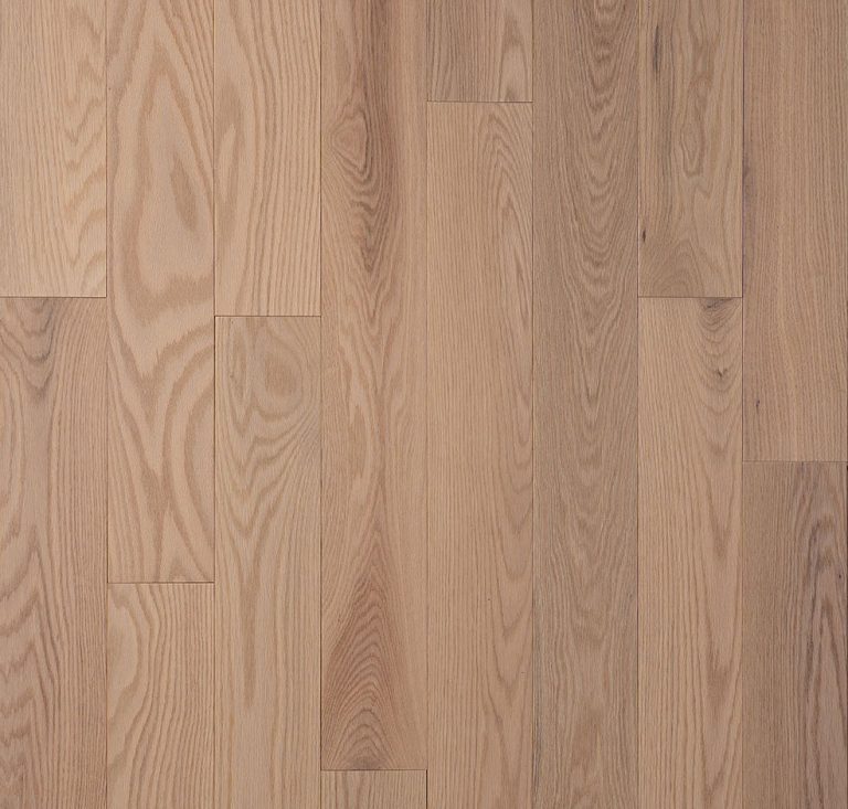 Northland-Rome-Red-Oak-Feature