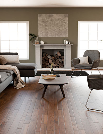 Constellation-Collection-Thing-1