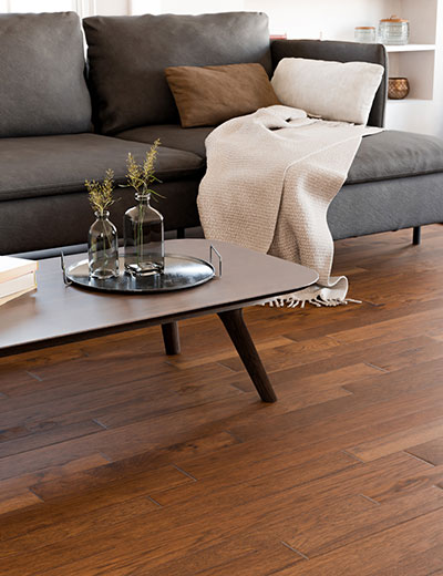 Constellation-Collection-Thing-4