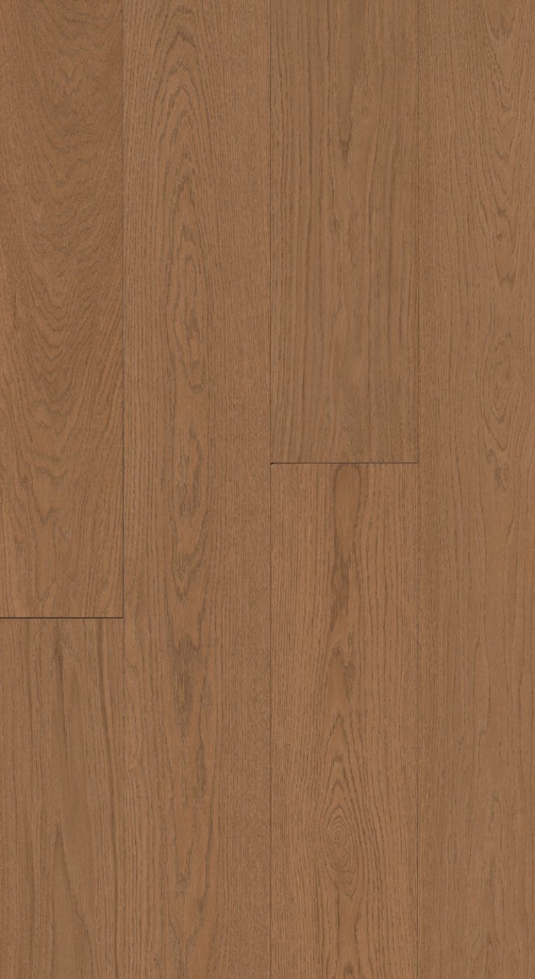 Mont-Rochard-Provence-Feature