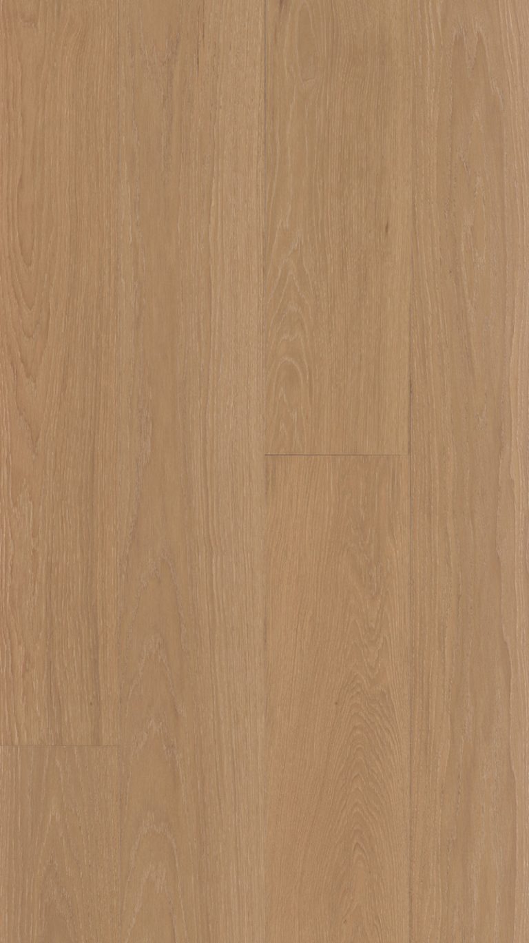 Mont-Rochard-Versailles-Feature