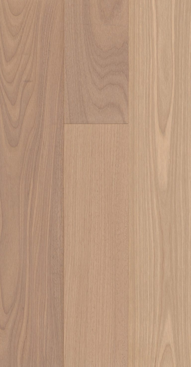 Overture-Adagio-Feature