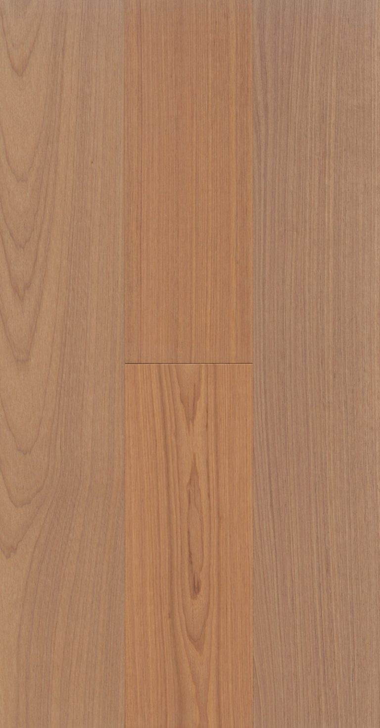 Overture-Virtuoso-Feature