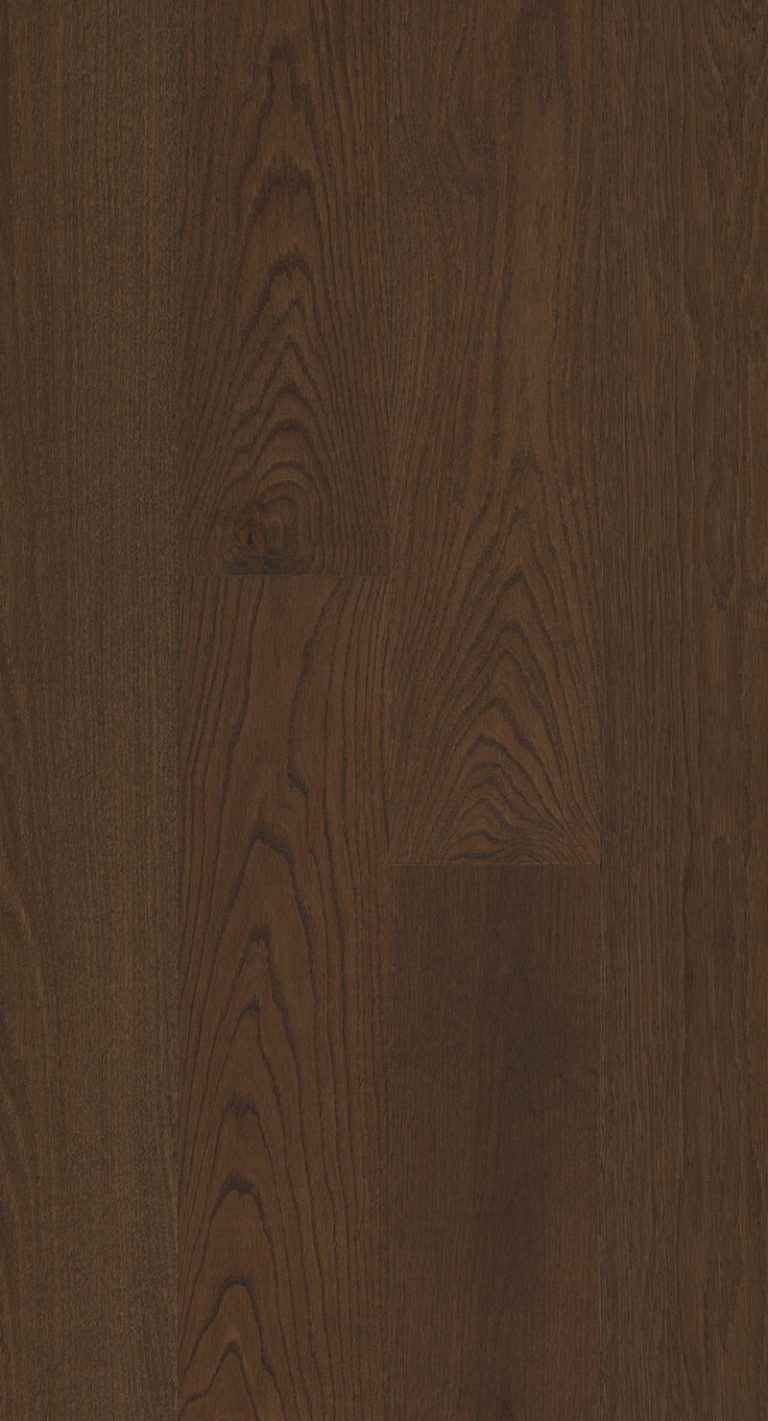 Velasario-Ancora-Feature