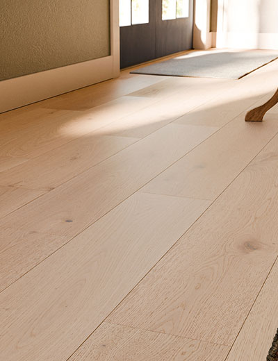 Velasario-Collection-Thing-1