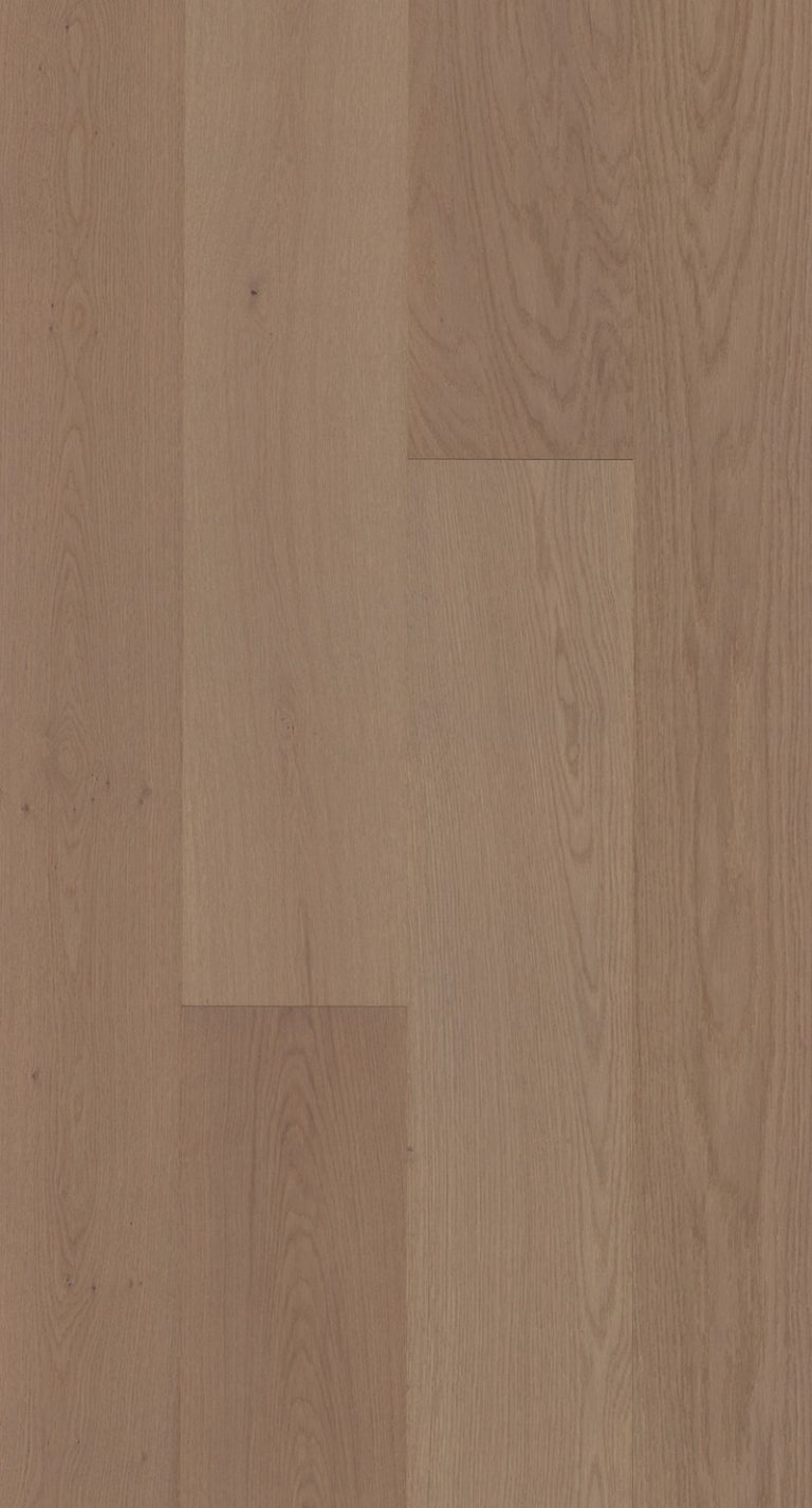 Velasario-Marea-Feature