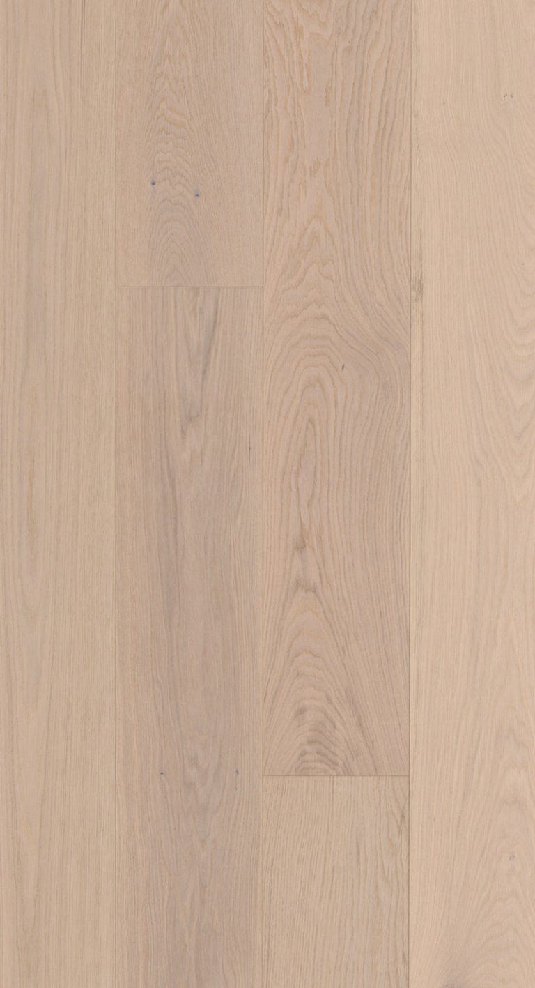 Velasario-Vento-Feature